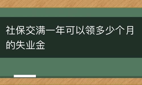 社保交满一年可以领多少个月的失业金