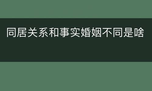 同居关系和事实婚姻不同是啥