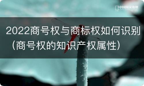 2022商号权与商标权如何识别（商号权的知识产权属性）