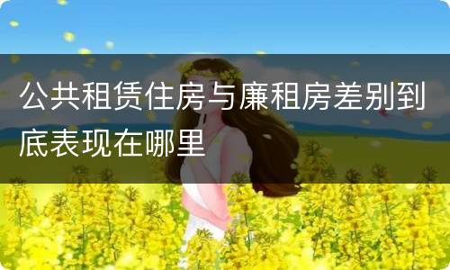 公共租赁住房与廉租房差别到底表现在哪里