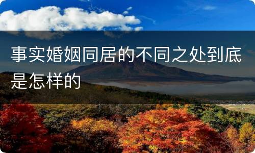 事实婚姻同居的不同之处到底是怎样的
