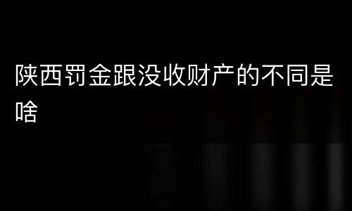 陕西罚金跟没收财产的不同是啥