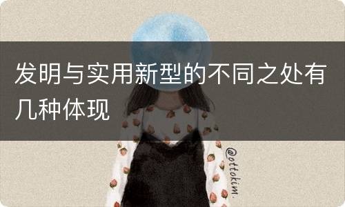 发明与实用新型的不同之处有几种体现