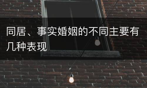 同居、事实婚姻的不同主要有几种表现