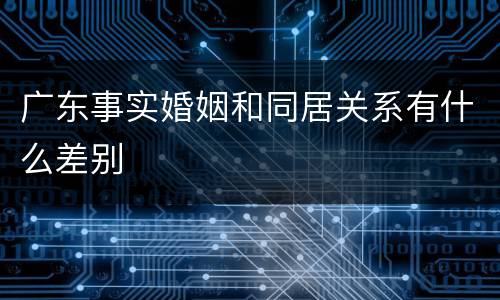 广东事实婚姻和同居关系有什么差别
