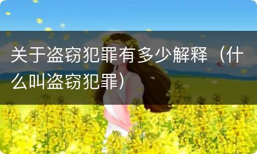 关于盗窃犯罪有多少解释（什么叫盗窃犯罪）