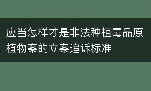 应当怎样才是非法种植毒品原植物案的立案追诉标准