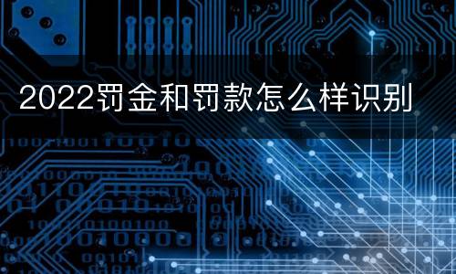 2022罚金和罚款怎么样识别