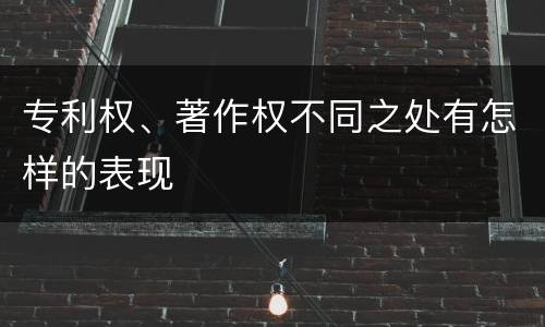 专利权、著作权不同之处有怎样的表现