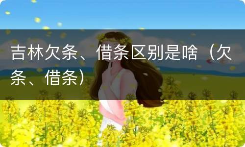 吉林欠条、借条区别是啥（欠条、借条）