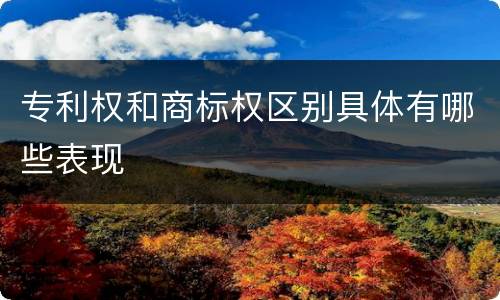 专利权和商标权区别具体有哪些表现