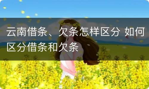 云南借条、欠条怎样区分 如何区分借条和欠条