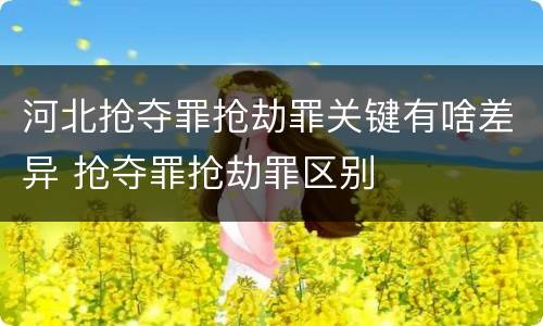 河北抢夺罪抢劫罪关键有啥差异 抢夺罪抢劫罪区别