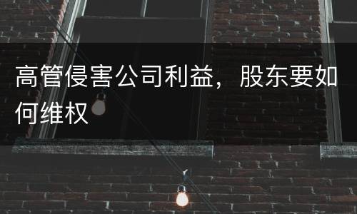 高管侵害公司利益，股东要如何维权