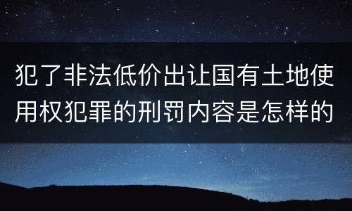 犯了非法低价出让国有土地使用权犯罪的刑罚内容是怎样的