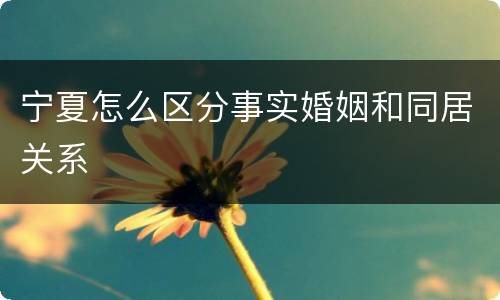宁夏怎么区分事实婚姻和同居关系