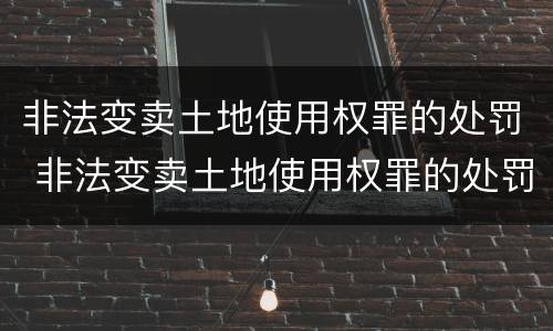 非法变卖土地使用权罪的处罚 非法变卖土地使用权罪的处罚依据
