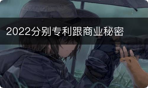 2022分别专利跟商业秘密