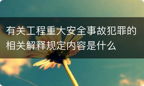 有关工程重大安全事故犯罪的相关解释规定内容是什么