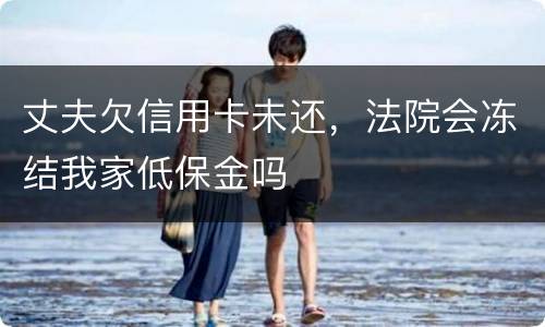 丈夫欠信用卡未还，法院会冻结我家低保金吗