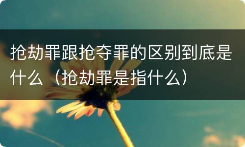 抢劫罪跟抢夺罪的区别到底是什么（抢劫罪是指什么）