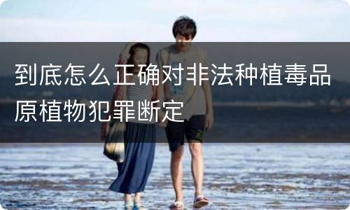 到底怎么正确对非法种植毒品原植物犯罪断定