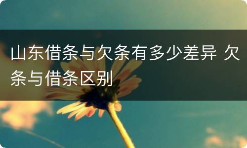 山东借条与欠条有多少差异 欠条与借条区别