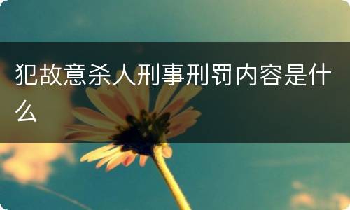 犯故意杀人刑事刑罚内容是什么