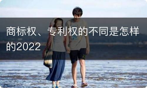 商标权、专利权的不同是怎样的2022