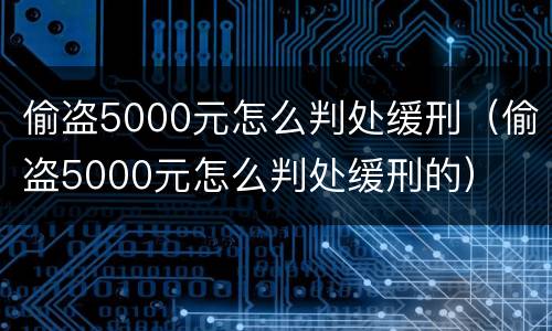 偷盗5000元怎么判处缓刑（偷盗5000元怎么判处缓刑的）