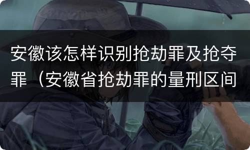 安徽该怎样识别抢劫罪及抢夺罪（安徽省抢劫罪的量刑区间和量刑情节）