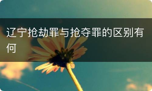 辽宁抢劫罪与抢夺罪的区别有何