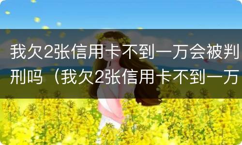 我欠2张信用卡不到一万会被判刑吗（我欠2张信用卡不到一万会被判刑吗知乎）