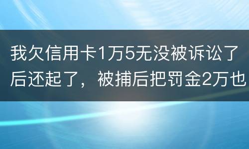 我欠信用卡1万5无没被诉讼了后还起了，被捕后把罚金2万也给了，什么时候放人呀