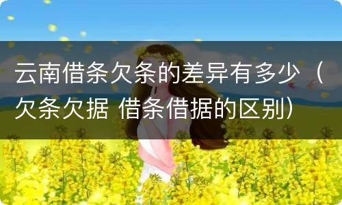 云南借条欠条的差异有多少（欠条欠据 借条借据的区别）
