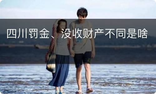 四川罚金、没收财产不同是啥