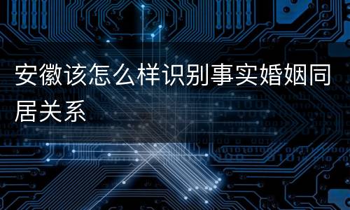 安徽该怎么样识别事实婚姻同居关系