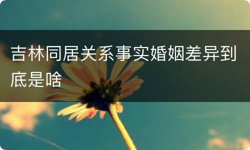 吉林同居关系事实婚姻差异到底是啥
