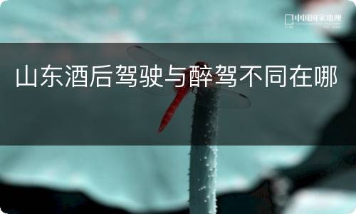 山东酒后驾驶与醉驾不同在哪