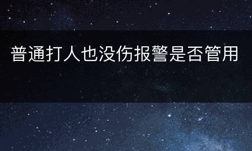 普通打人也没伤报警是否管用