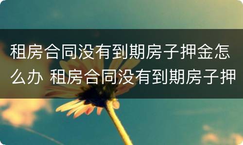 租房合同没有到期房子押金怎么办 租房合同没有到期房子押金怎么办呢