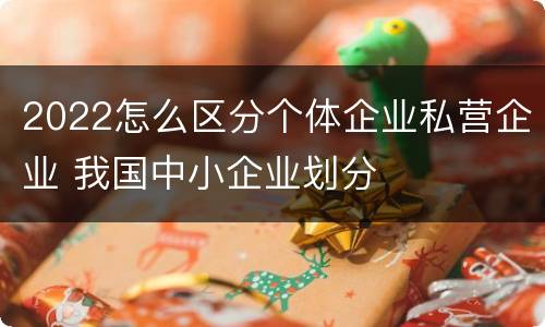 2022怎么区分个体企业私营企业 我国中小企业划分