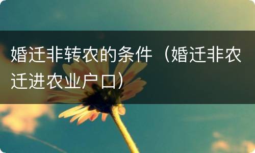 婚迁非转农的条件（婚迁非农迁进农业户口）