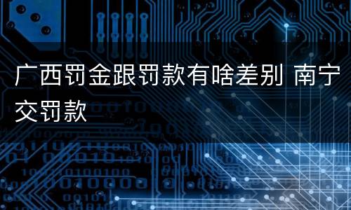 广西罚金跟罚款有啥差别 南宁交罚款