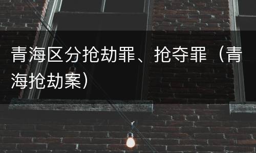 青海区分抢劫罪、抢夺罪（青海抢劫案）