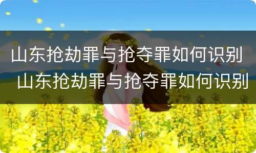 山东抢劫罪与抢夺罪如何识别 山东抢劫罪与抢夺罪如何识别判刑