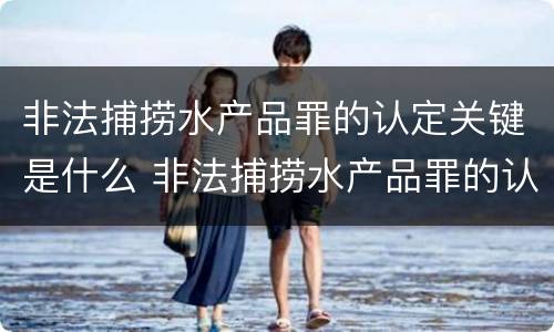 非法捕捞水产品罪的认定关键是什么 非法捕捞水产品罪的认定关键是什么意思
