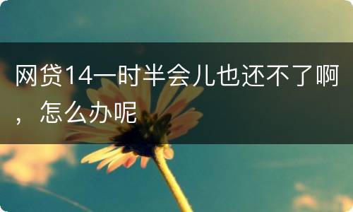 网贷14一时半会儿也还不了啊，怎么办呢