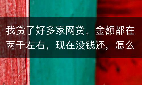 我贷了好多家网贷，金额都在两千左右，现在没钱还，怎么办呢