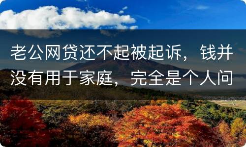 老公网贷还不起被起诉，钱并没有用于家庭，完全是个人问题，老公坐牢后网贷要老婆还吗